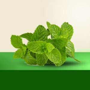 Mint